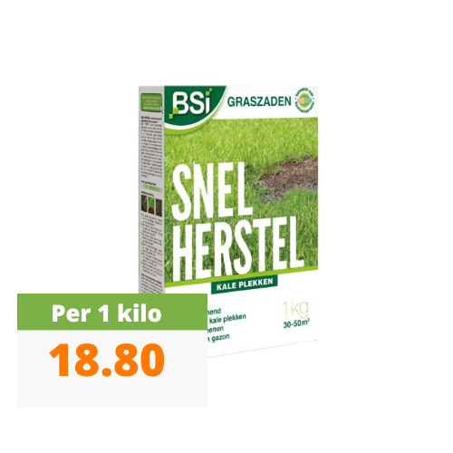 Foto van product bsi snel herstel 1kg