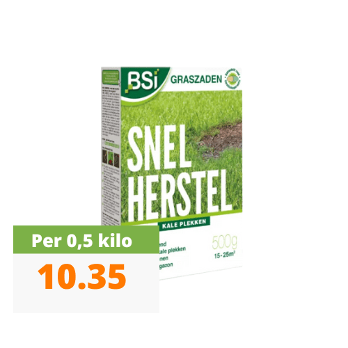 Foto van product bsi snel herstel 0,5kg